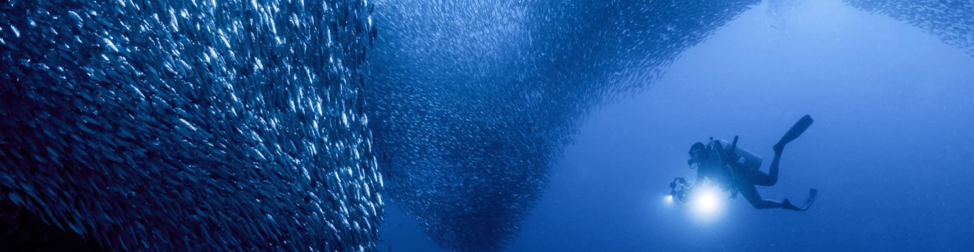 Éclairage photo sous marine